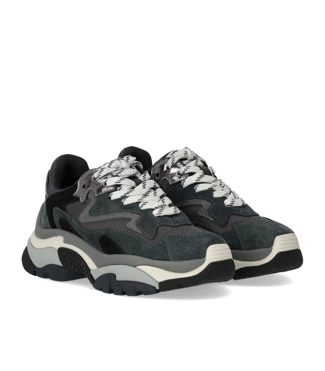 Ash Addict Grauer Sneaker