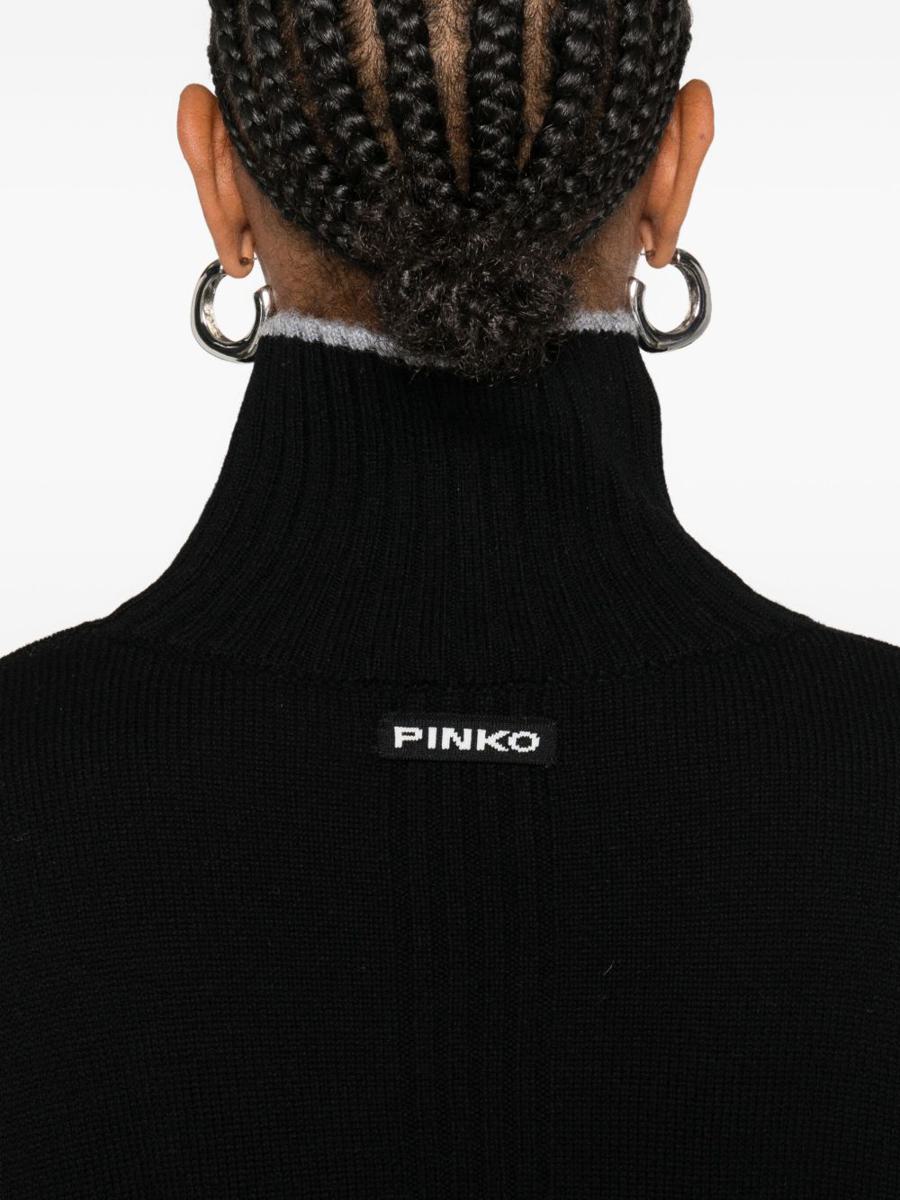 Pinko Pullover