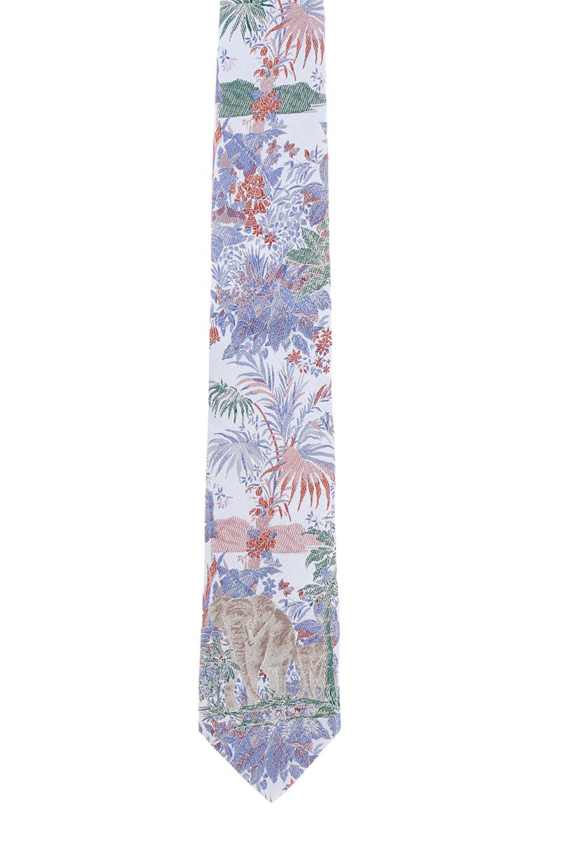 Etro Krawatten & Fliegen