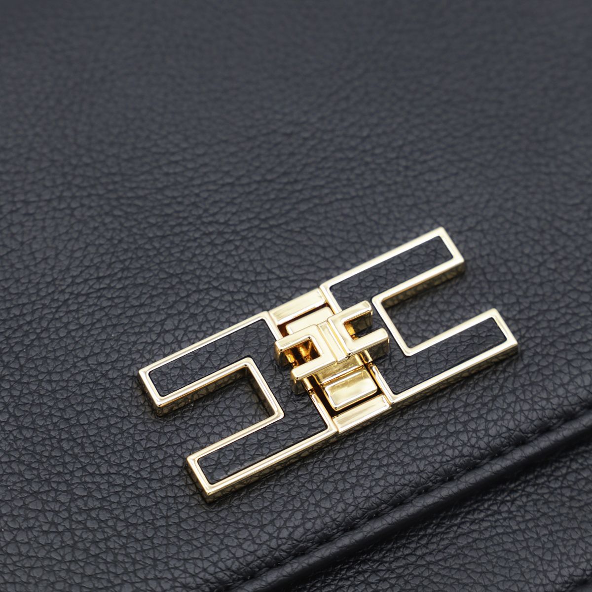 Elisabetta Franchi Taschen