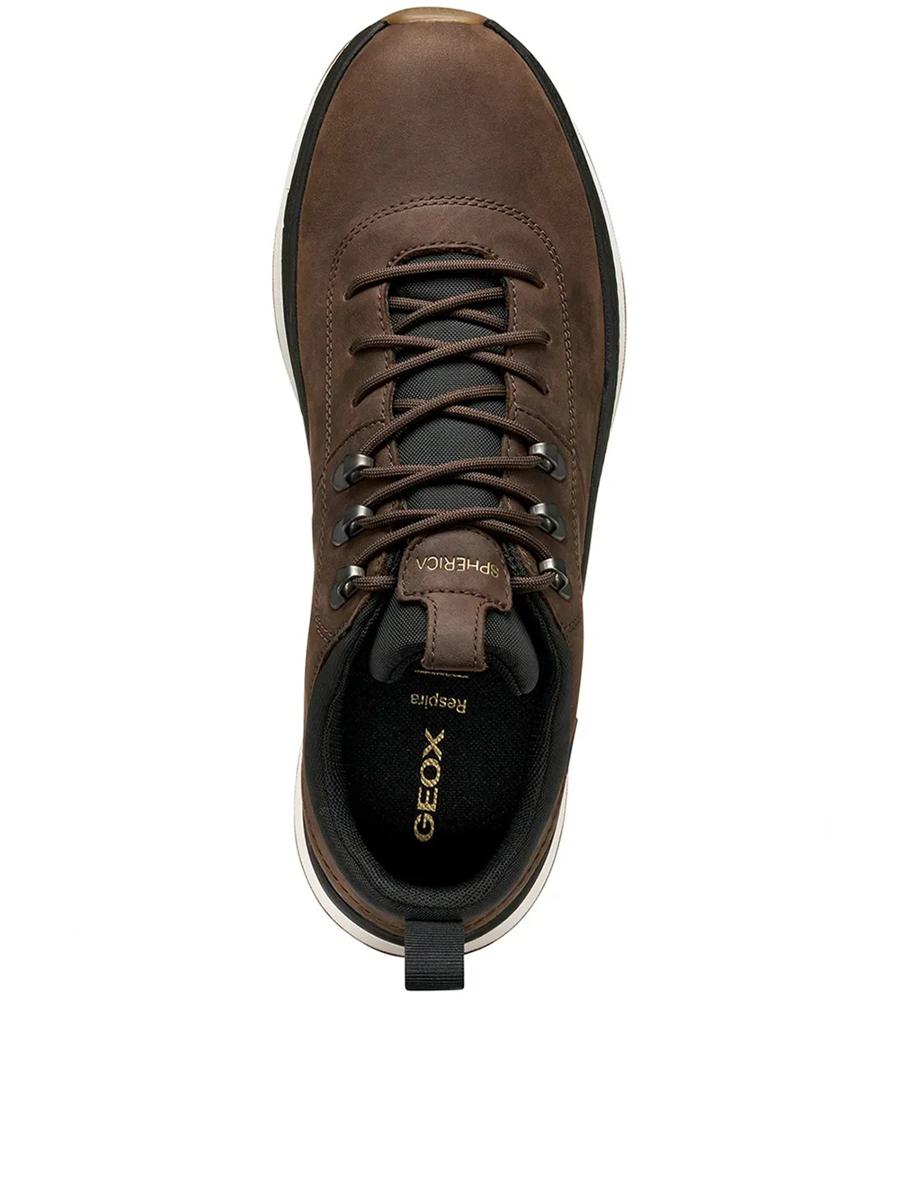 Geox Spherica Schuhe