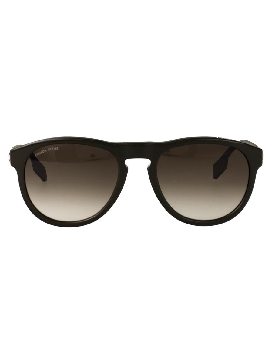 Canada Goose Sonnenbrillen