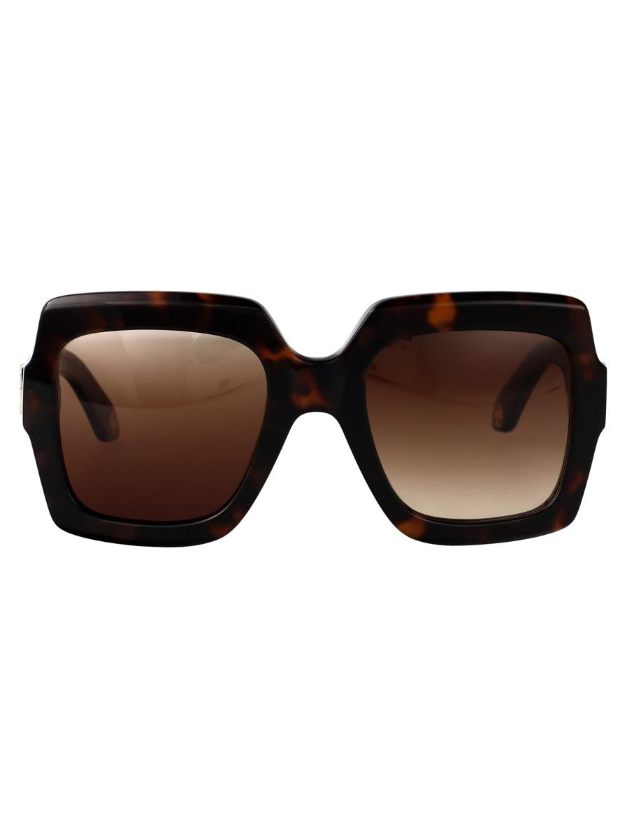 Roberto Cavalli Sonnenbrillen