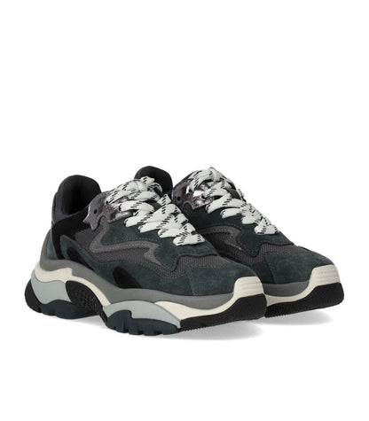 Ash Addict Grauer Sneaker