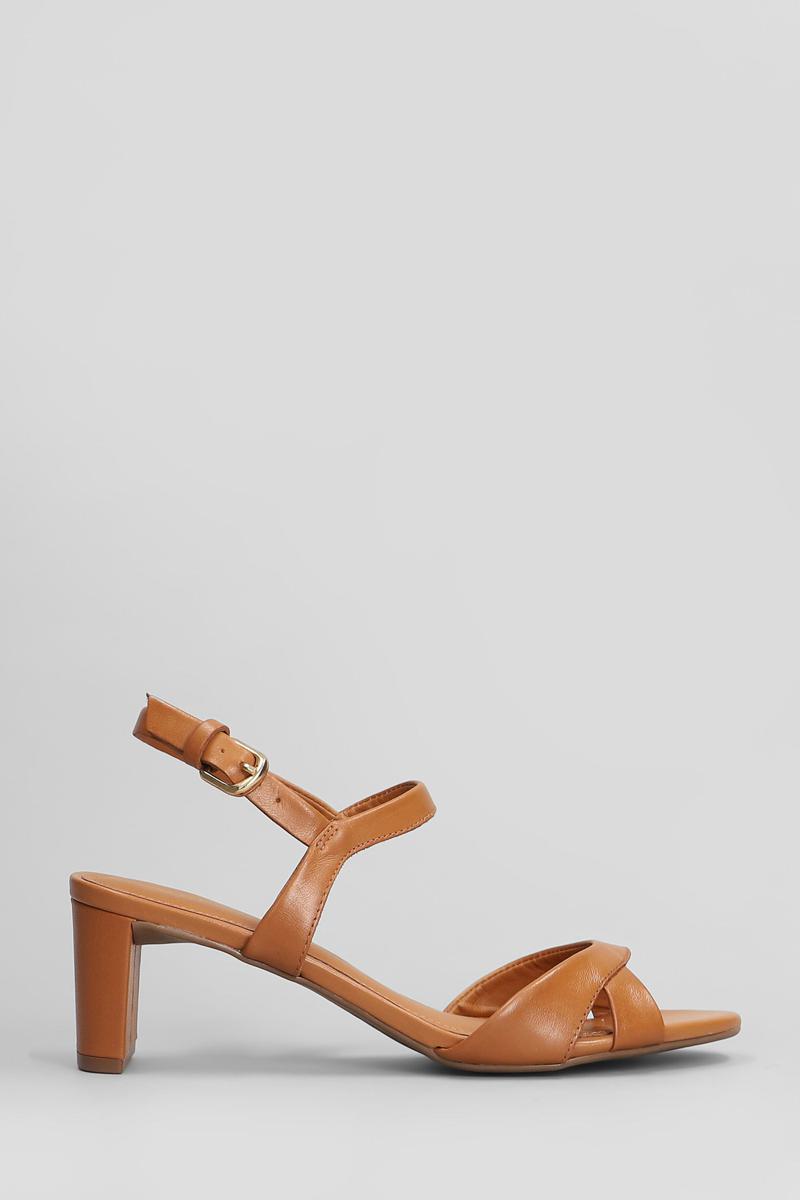 Arezzo Sandalen