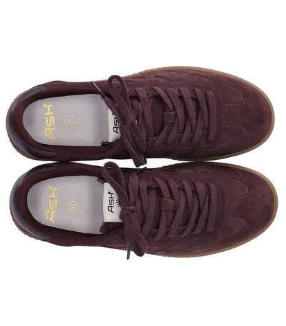 Ash Siena Burgunder Sneaker